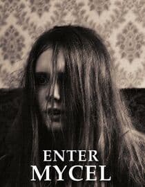 Enter Mycel
