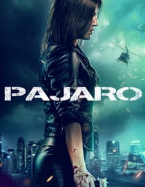 Pájaro