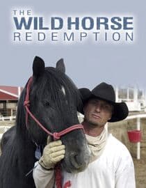 The Wild Horse Redemption