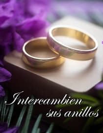 Intercambien sus Anillos