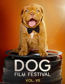 Dog Film Festival Vol. 7