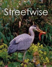Streetwise
