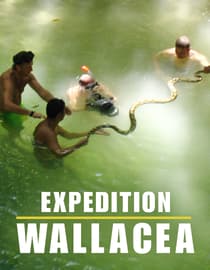 Expedition Wallacea