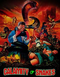 Calamity Of Snakes