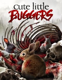 Cute Little Buggers