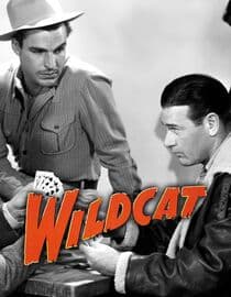 Wildcat