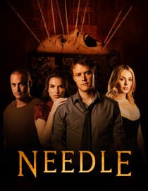 Needle