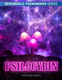 Psilocybin: The Magic Portal