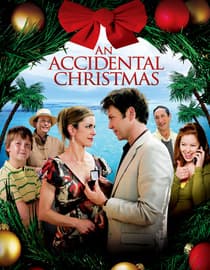 An Accidental Christmas