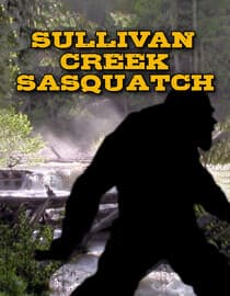 Sullivan Creek Sasquatch