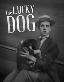 The Lucky Dog