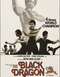 The Black Dragon