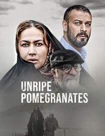 Unripe Pomegranates