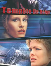 Tempête de neige (Snowbound)