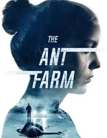 The Ant Farm