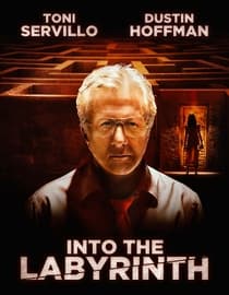 Into the Labyrinth