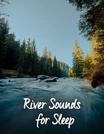 River Sounds for Sleep: Relaxing River Sounds with Forest view (Evening)