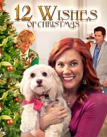12 Wishes of Christmas