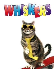 Whiskers