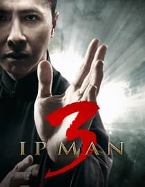 IP Man 3 - En español
