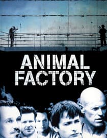 Animal Factory