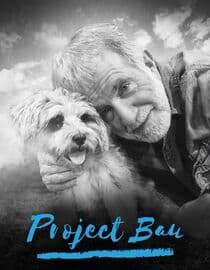 Project Bau