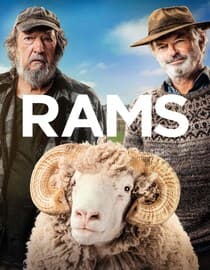 Rams