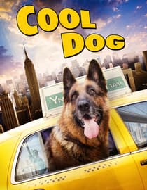 Cool Dog
