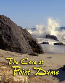 The Cove at Point Dume