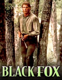 Black Fox