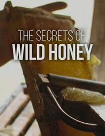 The Secrets of Wild Honey