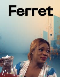Ferret