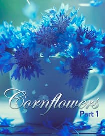 Cornflowers - Part 1