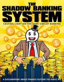 The Shadow Banking System