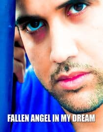 Fallen Angel in My Dream