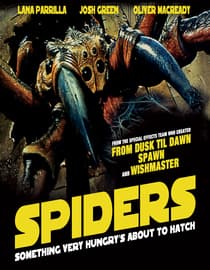 Spiders