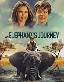 An Elephant's Journey