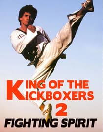 King of the Kickboxers II: Fighting Spirit