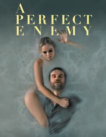 A Perfect Enemy