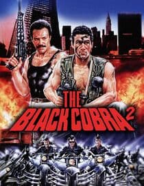The Black Cobra 2
