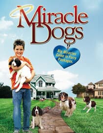 Miracle Dogs