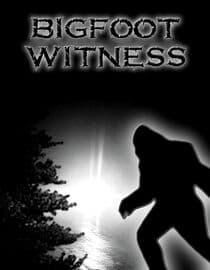 Bigfoot Witness