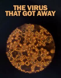 The Virus that got Away