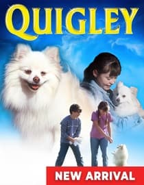 Quigley