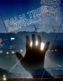 Palm Tree Asphalt