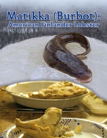 Matikka (Burbot): American Finlander Lobster
