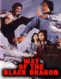 Way of the Black Dragon