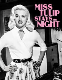 Miss Tulip Stays The Night