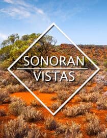 Sonoran Vistas