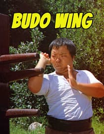 Budo Wing